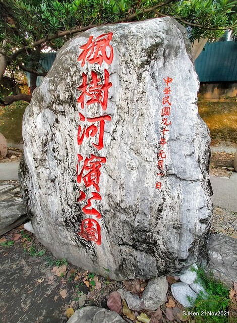 新北市泰山區楓樹河濱公園「蒜香藤」(Garlic Vine)花季，2021.11.19 ~ 2021.11,28, SJKen, Hsinpei city, Nov 21, 2021.