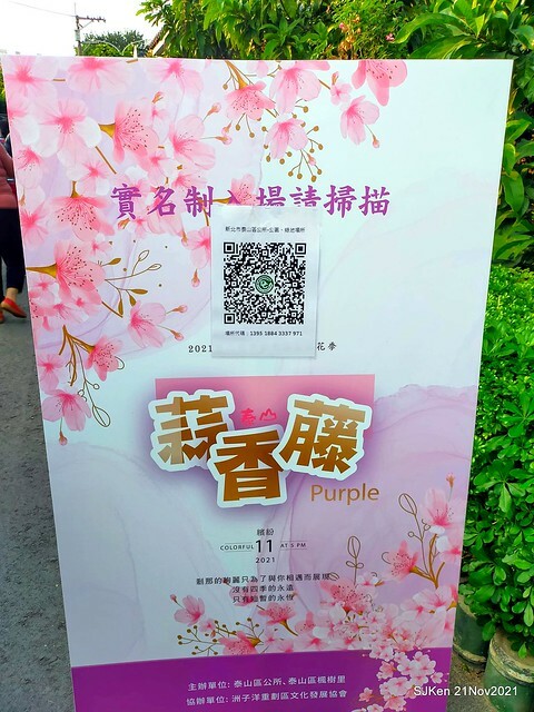 新北市泰山區楓樹河濱公園「蒜香藤」(Garlic Vine)花季，2021.11.19 ~ 2021.11,28, SJKen, Hsinpei city, Nov 21, 2021.