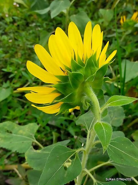 117-249875411_4762349553822812_9132267260739996366_n