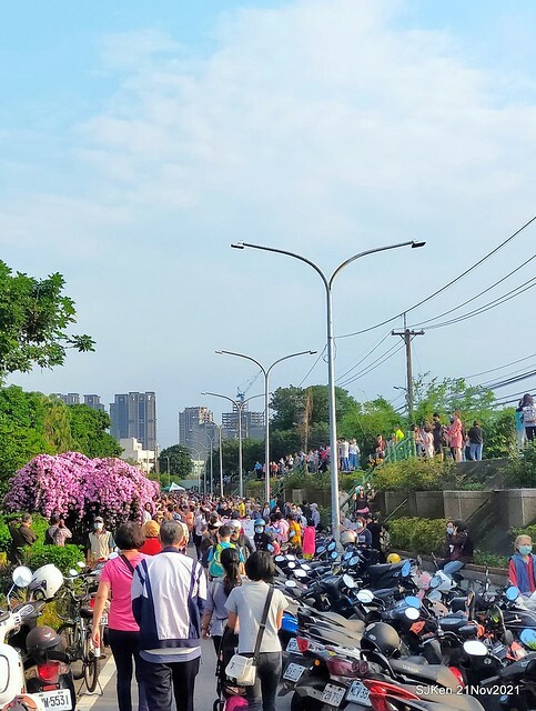 新北市泰山區楓樹河濱公園「蒜香藤」(Garlic Vine)花季，2021.11.19 ~ 2021.11,28, SJKen, Hsinpei city, Nov 21, 2021.