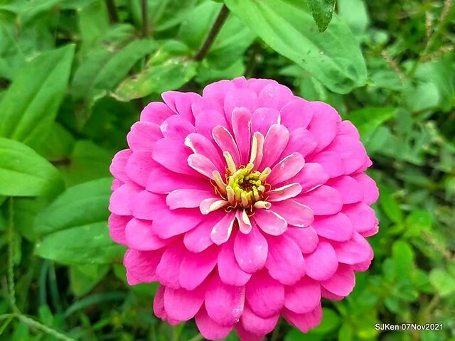 092-252165333_4762349397156161_312440883146960242_n