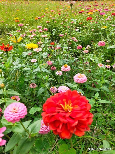 126-250978209_4762346300489804_4355732649804659788_n (1)