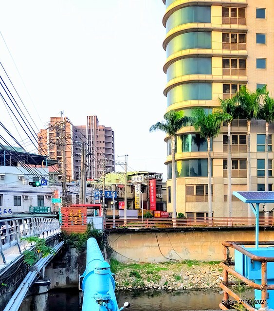 新北市泰山區楓樹河濱公園「蒜香藤」(Garlic Vine)花季，2021.11.19 ~ 2021.11,28, SJKen, Hsinpei city, Nov 21, 2021.