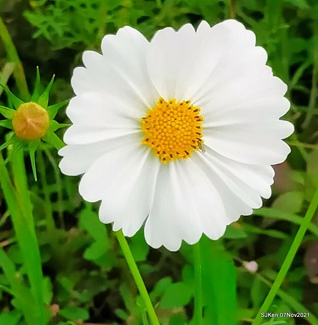 011-244007847_4762346423823125_8515156671205891471_n