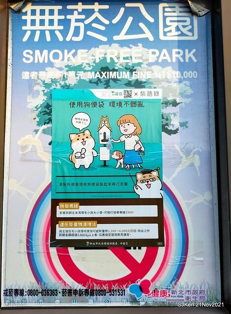 新北市泰山區楓樹河濱公園「蒜香藤」(Garlic Vine)花季，2021.11.19 ~ 2021.11,28, SJKen, Hsinpei city, Nov 21, 2021.