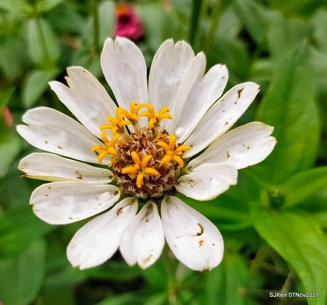 120-249369064_4762348447156256_8350445950326522765_n