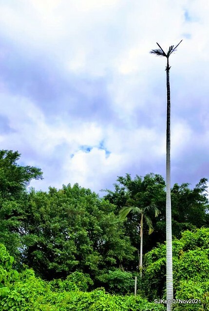 045-250736351_4762341680490266_1134808068076958458_n