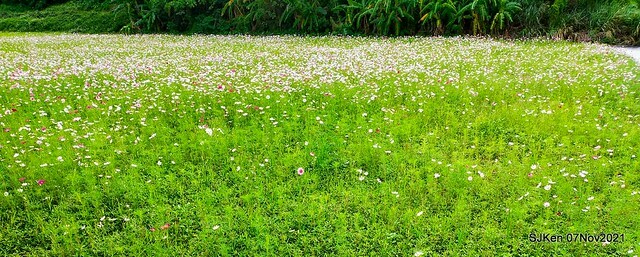 058-253166838_4762343463823421_3702331105710155408_n