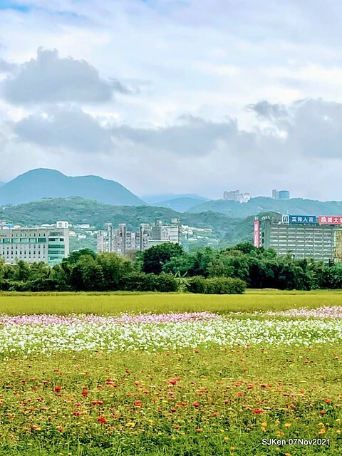 142-250970011_4746082138782887_4181799452023579840_n