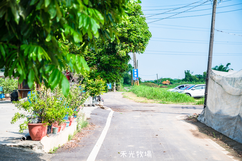 ｜高雄景點｜禾光牧場-羊咩咩的家，免門票親子景點，擠羊奶、DIY割牧草、餵小羊喝ㄋㄟㄋㄟ超有趣 - Hallo！I'm 婷兒