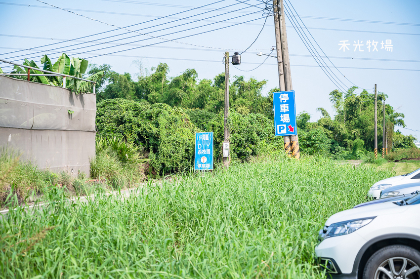 ｜高雄景點｜禾光牧場-羊咩咩的家，免門票親子景點，擠羊奶、DIY割牧草、餵小羊喝ㄋㄟㄋㄟ超有趣 - Hallo！I'm 婷兒