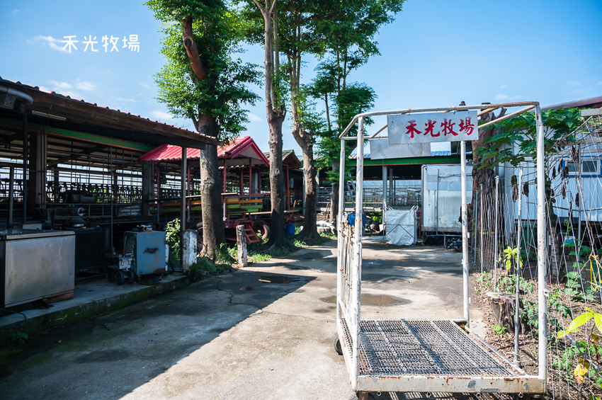 ｜高雄景點｜禾光牧場-羊咩咩的家，免門票親子景點，擠羊奶、DIY割牧草、餵小羊喝ㄋㄟㄋㄟ超有趣 - Hallo！I'm 婷兒