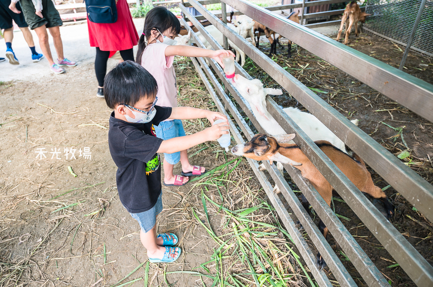 ｜高雄景點｜禾光牧場-羊咩咩的家，免門票親子景點，擠羊奶、DIY割牧草、餵小羊喝ㄋㄟㄋㄟ超有趣 - Hallo！I'm 婷兒