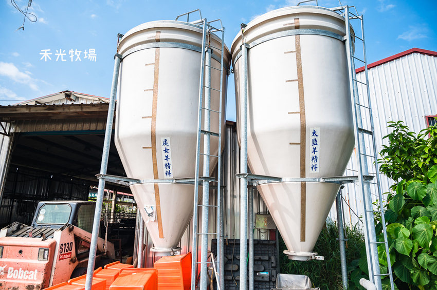 ｜高雄景點｜禾光牧場-羊咩咩的家，免門票親子景點，擠羊奶、DIY割牧草、餵小羊喝ㄋㄟㄋㄟ超有趣 - Hallo！I'm 婷兒