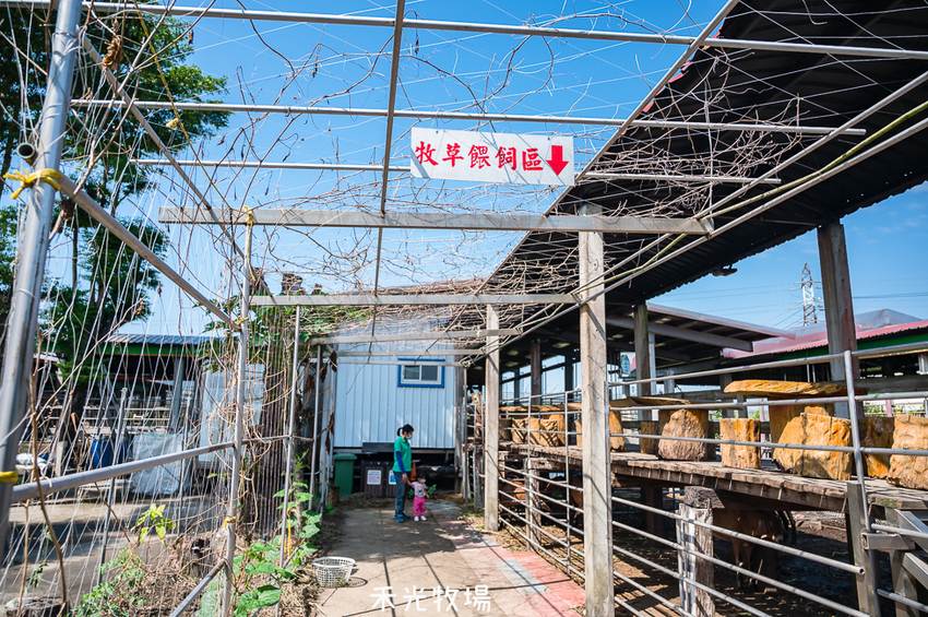 ｜高雄景點｜禾光牧場-羊咩咩的家，免門票親子景點，擠羊奶、DIY割牧草、餵小羊喝ㄋㄟㄋㄟ超有趣 - Hallo！I'm 婷兒