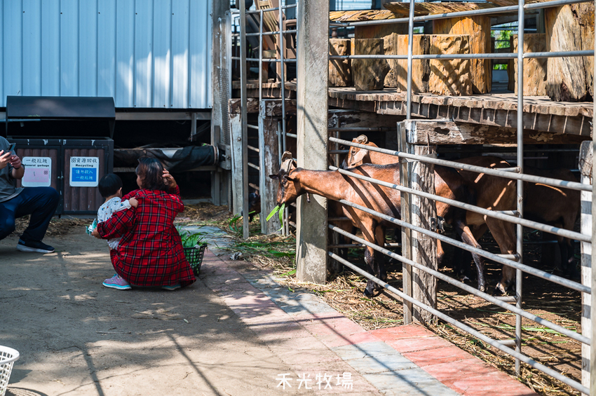 ｜高雄景點｜禾光牧場-羊咩咩的家，免門票親子景點，擠羊奶、DIY割牧草、餵小羊喝ㄋㄟㄋㄟ超有趣 - Hallo！I'm 婷兒