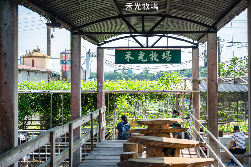 ｜高雄景點｜禾光牧場-羊咩咩的家，免門票親子景點，擠羊奶、DIY割牧草、餵小羊喝ㄋㄟㄋㄟ超有趣 - Hallo！I'm 婷兒