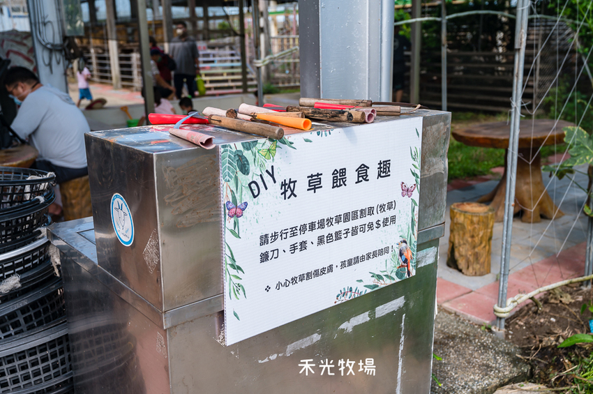 ｜高雄景點｜禾光牧場-羊咩咩的家，免門票親子景點，擠羊奶、DIY割牧草、餵小羊喝ㄋㄟㄋㄟ超有趣 - Hallo！I'm 婷兒