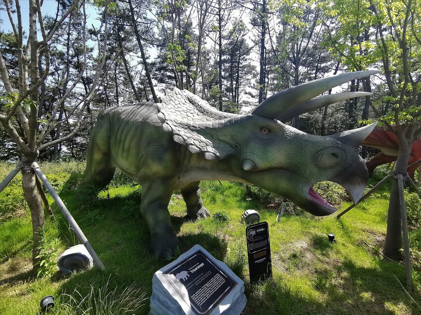 【韓國釜山景點】松島天空步道海上覽車│一秒變身月亮公主│浪漫氛圍指數破表│瓶中信造景│白色膠囊立體式螺旋美拍牆 - 旅遊夜市趴趴走