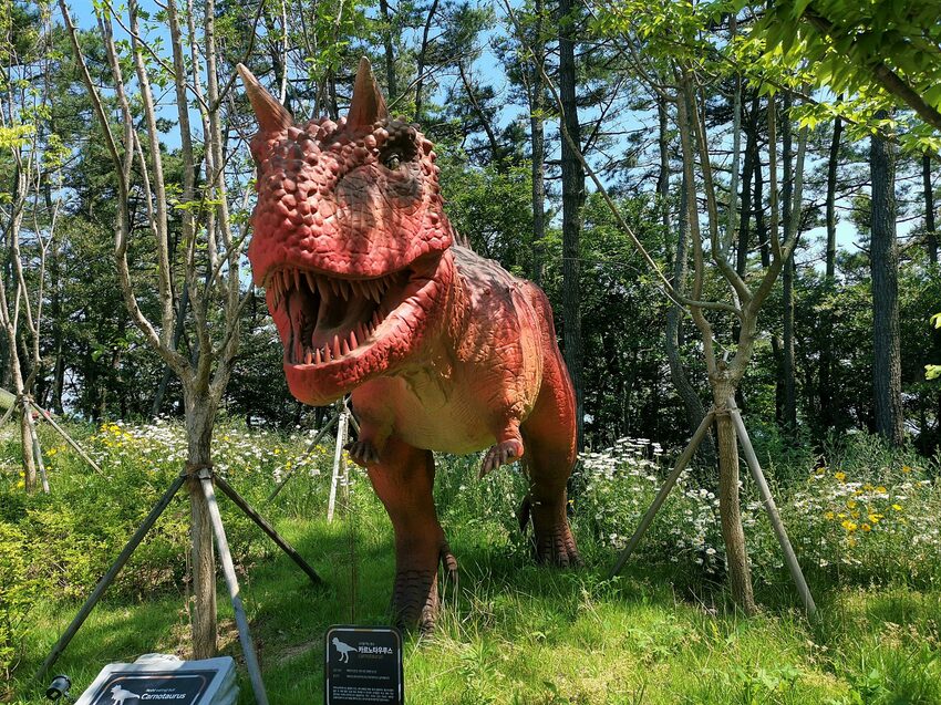 【韓國釜山景點】松島天空步道海上覽車│一秒變身月亮公主│浪漫氛圍指數破表│瓶中信造景│白色膠囊立體式螺旋美拍牆 - 旅遊夜市趴趴走