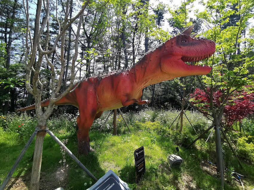 【韓國釜山景點】松島天空步道海上覽車│一秒變身月亮公主│浪漫氛圍指數破表│瓶中信造景│白色膠囊立體式螺旋美拍牆 - 旅遊夜市趴趴走