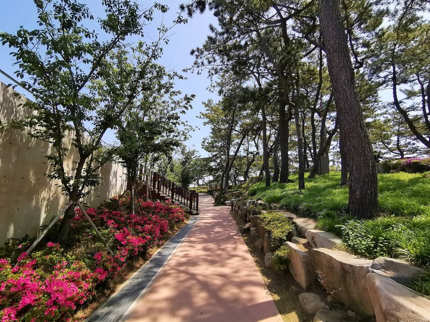 【韓國釜山景點】松島天空步道海上覽車│一秒變身月亮公主│浪漫氛圍指數破表│瓶中信造景│白色膠囊立體式螺旋美拍牆 - 旅遊夜市趴趴走