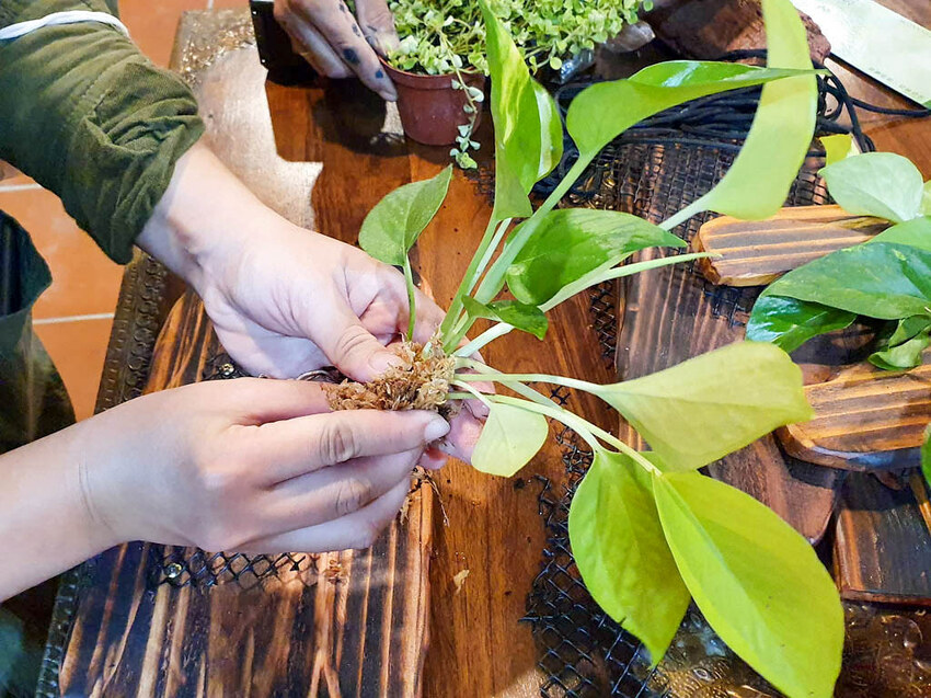 20211027_173043 20211027_173043