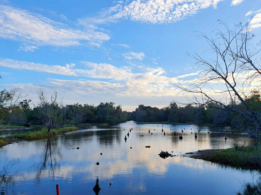 20211027_164600 20211027_164600