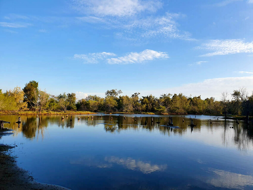 20211027_163229 20211027_163229