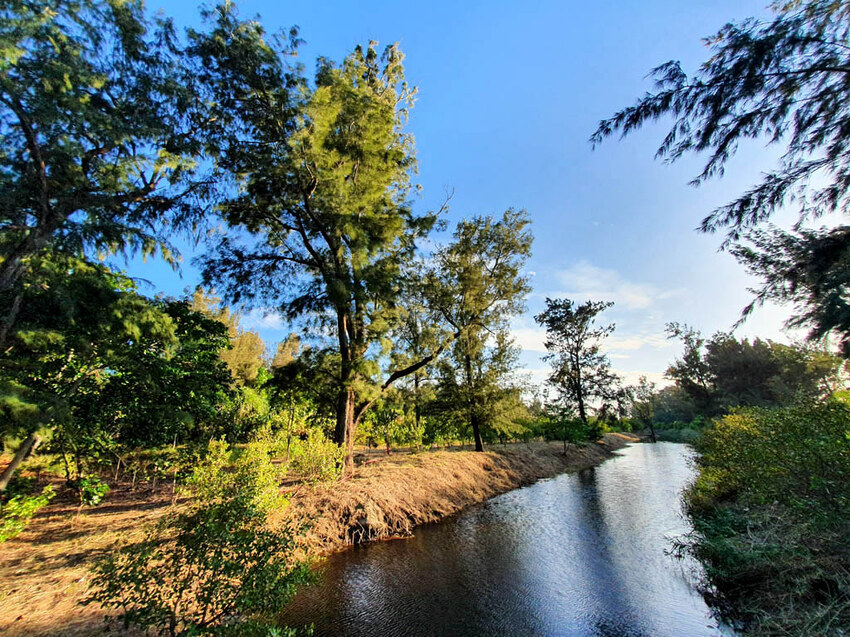 20211027_162127 20211027_162127