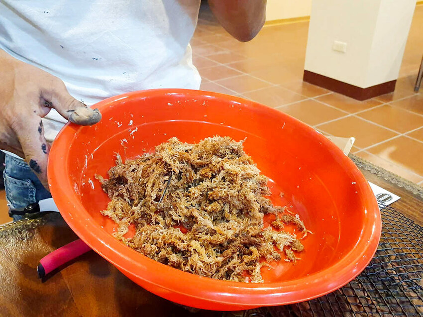 20211027_171919 20211027_171919