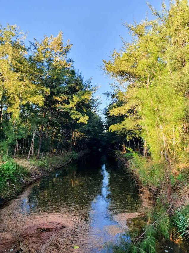 20211027_163847 20211027_163847