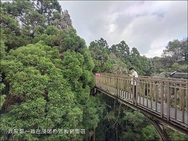 溪頭自然教育園區11.jpg