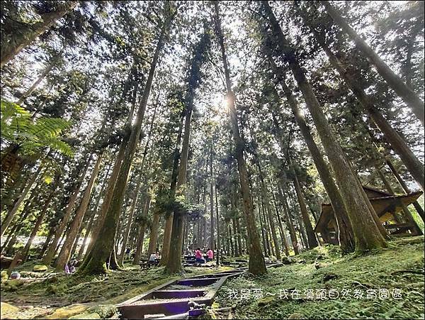 溪頭自然教育園區03.jpg