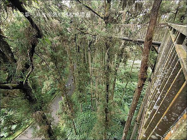 溪頭自然教育園區10.jpg