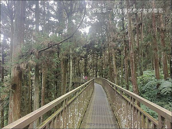 溪頭自然教育園區09.jpg