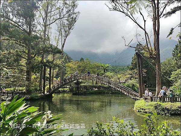 溪頭自然教育園區07.jpg