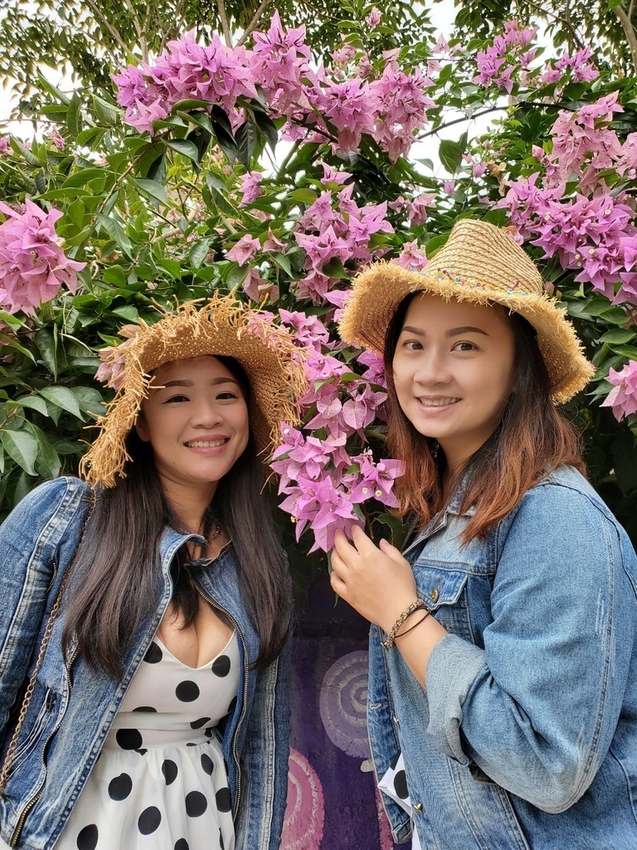 【苗栗.西湖】噢哈娜咖啡屋。夢幻紫色國度紫藤花道+飛天紫傘閨密寫真最佳拍攝地點