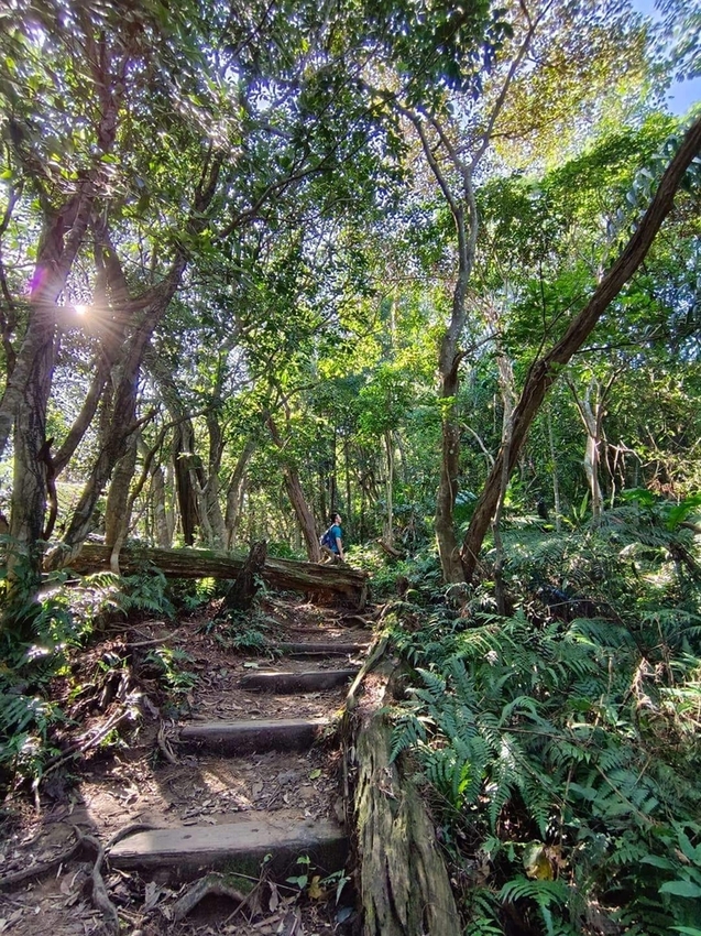 【新北.三峽】五寮尖北部三大岩場之一。克服懼高症最佳挑戰。30公尺峭壁沿路不斷拉繩攀爬+超美稜線