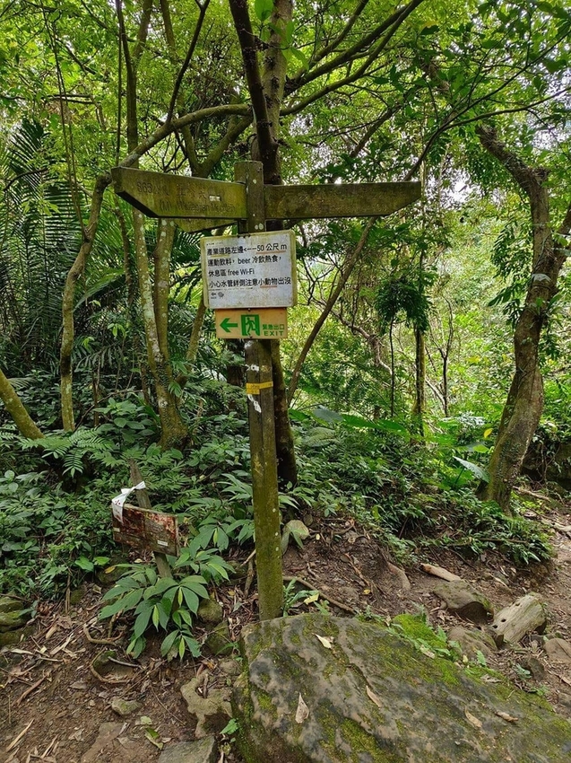 【新北.三峽】五寮尖北部三大岩場之一。克服懼高症最佳挑戰。30公尺峭壁沿路不斷拉繩攀爬+超美稜線