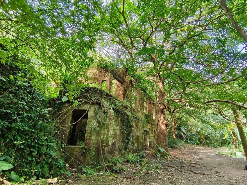 【新北.三峽】五寮尖北部三大岩場之一。克服懼高症最佳挑戰。30公尺峭壁沿路不斷拉繩攀爬+超美稜線