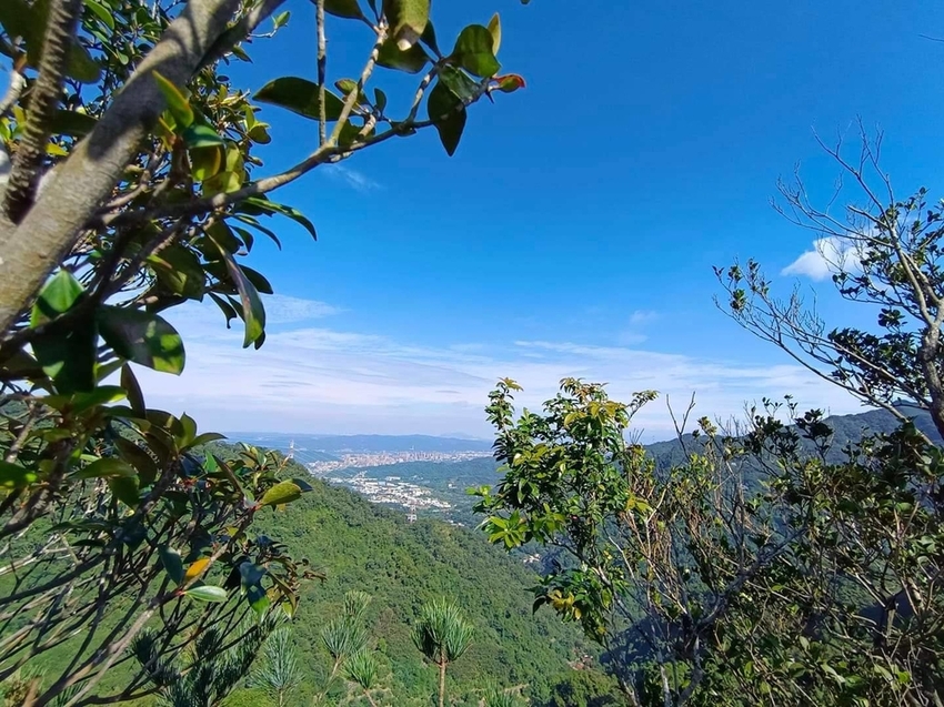 【新北.三峽】五寮尖北部三大岩場之一。克服懼高症最佳挑戰。30公尺峭壁沿路不斷拉繩攀爬+超美稜線