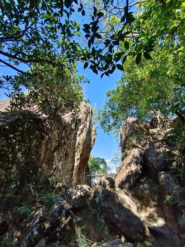 【新北.三峽】五寮尖北部三大岩場之一。克服懼高症最佳挑戰。30公尺峭壁沿路不斷拉繩攀爬+超美稜線