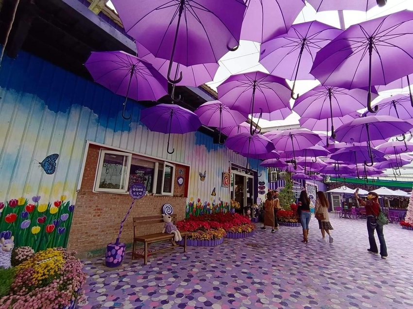 【苗栗.西湖】噢哈娜咖啡屋。夢幻紫色國度紫藤花道+飛天紫傘閨密寫真最佳拍攝地點