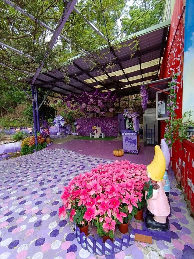 【苗栗.西湖】噢哈娜咖啡屋。夢幻紫色國度紫藤花道+飛天紫傘閨密寫真最佳拍攝地點