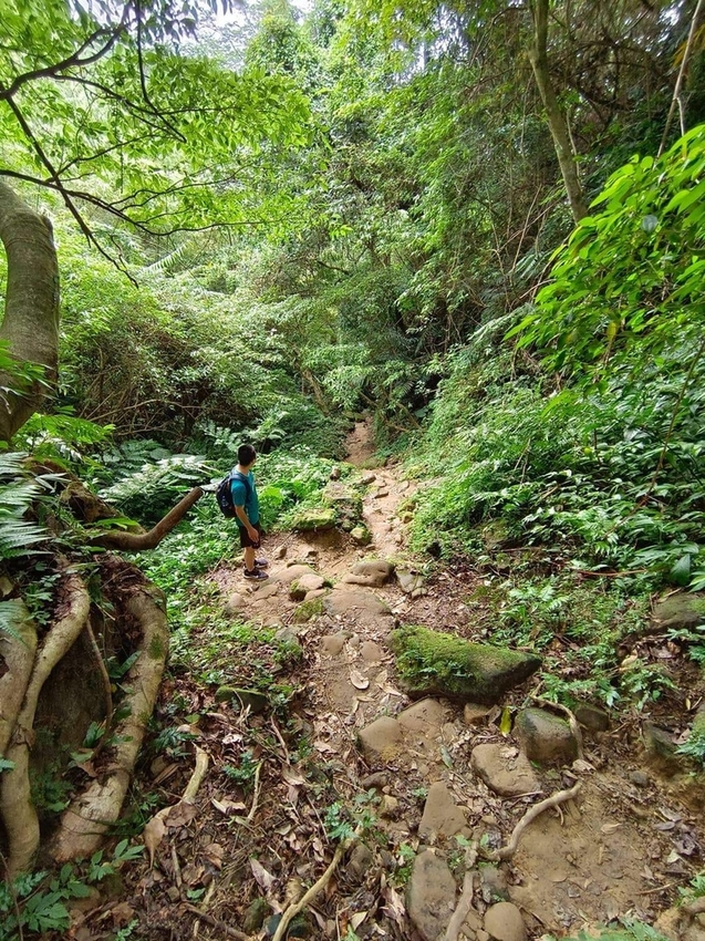 【新北.三峽】五寮尖北部三大岩場之一。克服懼高症最佳挑戰。30公尺峭壁沿路不斷拉繩攀爬+超美稜線