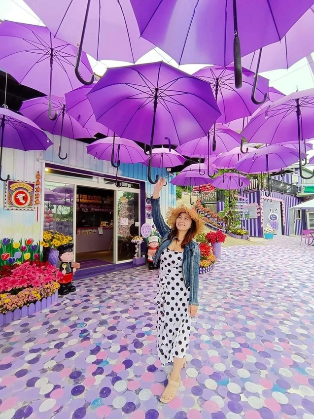 【苗栗.西湖】噢哈娜咖啡屋。夢幻紫色國度紫藤花道+飛天紫傘閨密寫真最佳拍攝地點