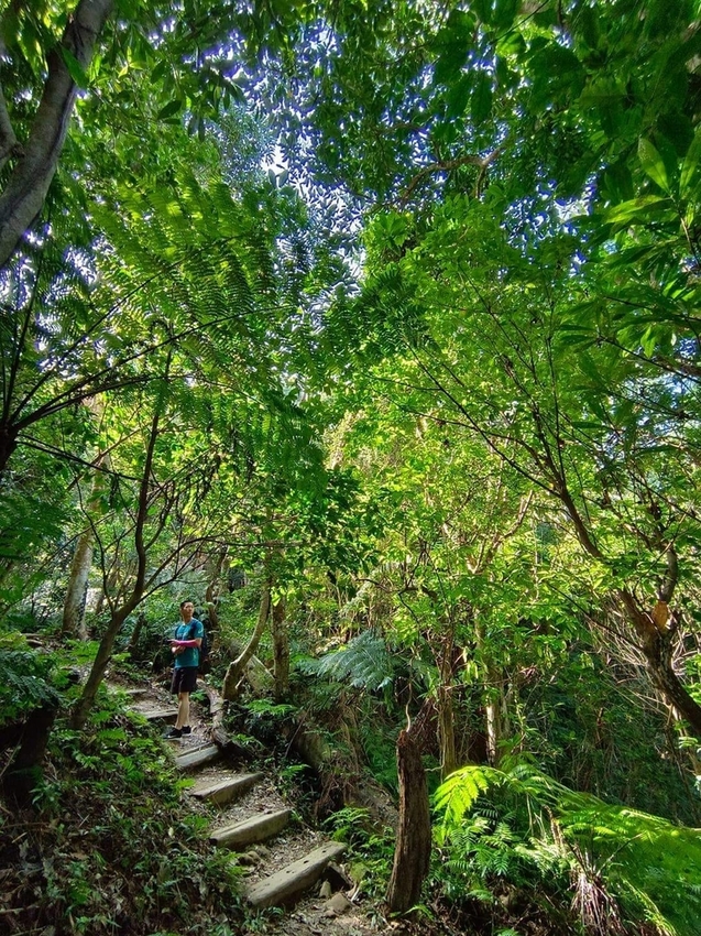 【新北.三峽】五寮尖北部三大岩場之一。克服懼高症最佳挑戰。30公尺峭壁沿路不斷拉繩攀爬+超美稜線