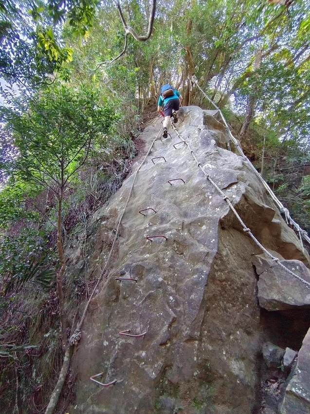 【新北.三峽】五寮尖北部三大岩場之一。克服懼高症最佳挑戰。30公尺峭壁沿路不斷拉繩攀爬+超美稜線
