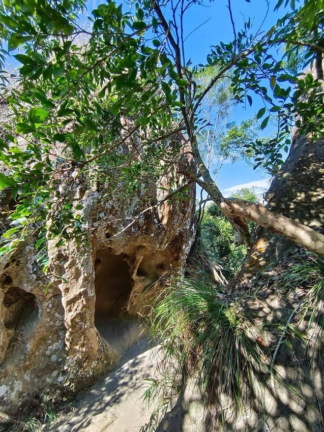 【新北.三峽】五寮尖北部三大岩場之一。克服懼高症最佳挑戰。30公尺峭壁沿路不斷拉繩攀爬+超美稜線